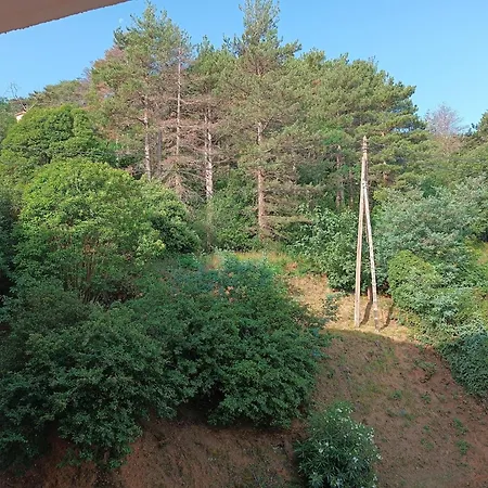 Apartment Diumenge Amélie-les-Bains-Palalda
