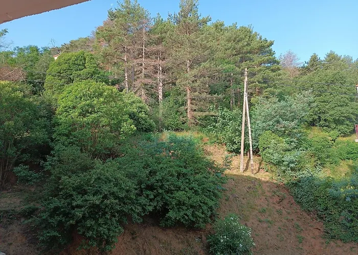 Apartment Diumenge Amélie-les-Bains-Palalda